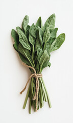Realistic Photo of Fresh Spinach Bunch Isolated on White Background with Natural Color and Detail for Healthy Food and Organic Product Design Use
