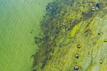 Abstract background texture of the Baltic Sea: clear water of a greenish hue with a visible stony bottom and algae.
