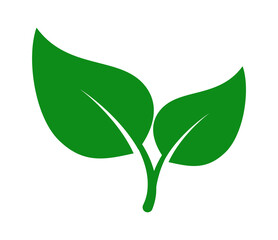 Minimalist Green Leaf Icon for Eco-Friendly Branding, Sustainable Projects, and Environmental Awareness Campaigns. Vector illustration