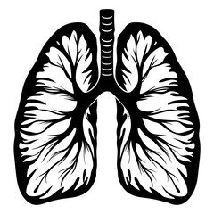 Detailed Black and White Illustration of Human Lungs with Intricate Branching Bronchial Tree Anatomy