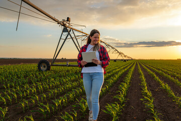 Female farmer is walking and using digital tablet in corn field at sunset, next to center pivot...