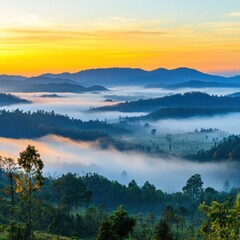 Misty Valley at Sunrise Aerial View of Rolling Hills and Forest Landscape with Golden Sky in Thailand