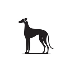 Elegant Azawakh Dog Silhouette Vector – Sleek, graceful African breed outline perfect for pet-themed designs, digital art, merchandise, breed-specific projects, decals, and creative ventures.
