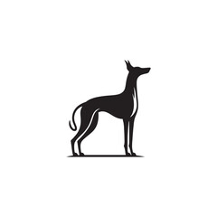 Elegant Azawakh Dog Silhouette Vector – Sleek, graceful African breed outline perfect for pet-themed designs, digital art, merchandise, breed-specific projects, decals, and creative ventures.
