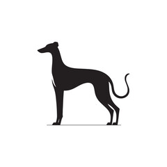 Elegant Azawakh Dog Silhouette Vector – Sleek, graceful African breed outline perfect for pet-themed designs, digital art, merchandise, breed-specific projects, decals, and creative ventures.
