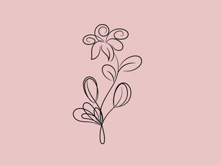 Floral background with flowers
