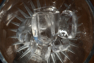 Ice cubes in a glass. Close up. Selective focus.
