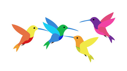 Colorful hummingbirds in flight against awhite background presenting vibrant ornithological wildlife for diverse applications isolated on transparent background HD photo PNG file download.

