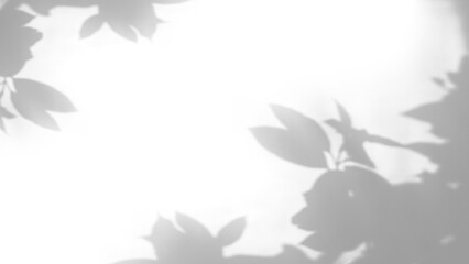shadow overlay effects of realistic branch with leaves shadow on white wall background,Summer sunlight and shadow overlay effect,shade for photo interior backdrop studio mockup