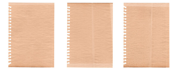 collection of scrapbook sheet paper