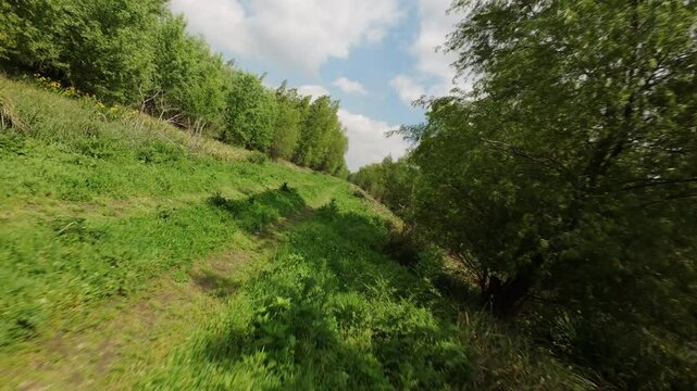 Fast, multi-angle FPV drone clip descending through tree plantation and green dirt road during early afternoon. Blue skies with some clouds.