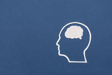 White Silhouette of head with puzzle brain symbolizing problem-solving on dark blue background