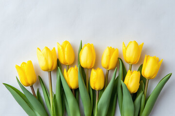 Naklejka premium yellow tulips on a gray background