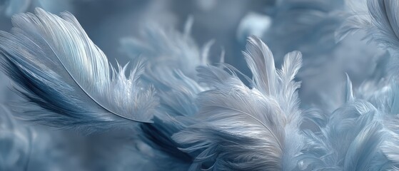 Fototapeta premium Soft and delicate blue feathers background, a calming and serene texture with elegant plumage for artistic design and dreamy abstract concept