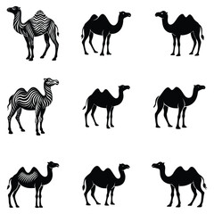 silhouette of Camel vector on white background, Camel icon vector, black camel animal silhouette