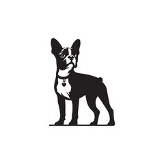 Boston Terrier Dog Silhouette – A charming and energetic canine outline, perfect for digital art, merchandise, T-shirts, dog breed designs, and pet-themed creative projects.
