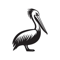 pelican on white background