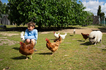 Young farmer boy taking care of chickens and pig in farmyard