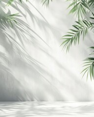 Tropical Palm Leaves Casting Shadows on a White Wall Background Minimalist Style Studio Shot for Product Mockup or Presentation Backdrop