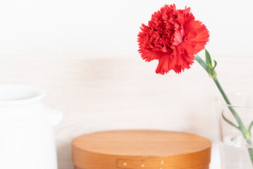 一輪の赤いカーネーション,花,母の日