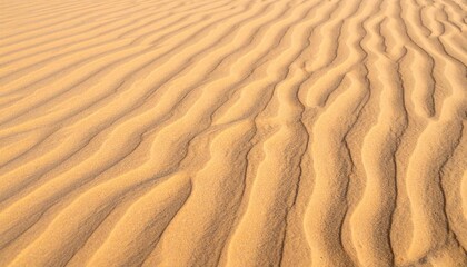 Fototapeta premium Exploring sand dune patterns desert landscape nature photography vibrant environment aerial view abstract concept