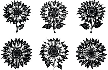 Floral Vector Set with Seamless Patterns and Colorful Flower Elements