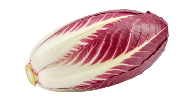 Isolated Radicchio Red Chicory Salad Vegetable