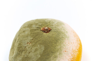 Spoiled tangerine with mold on a white background.