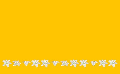 Obraz premium 百合 ①