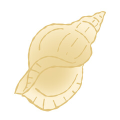 coquillage trompette de neptune au pinceau beige