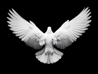 White dove in flight rear view studio shot against black background wings spread in graceful motion symbol of peace and freedom
