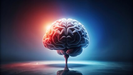 Illuminated Human Brain A Detailed Anatomical Representation of the Central Nervous System