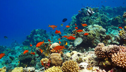 Vibrant coral reef with schools of fish in clear blue waters
