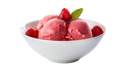 Delicious Raspberry Sorbet in a White Bowl Garnishes with Fresh Raspberries and Mint