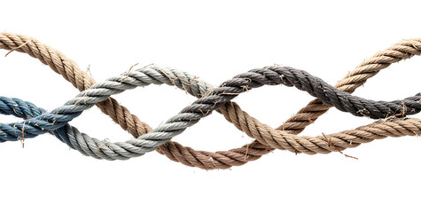 Diversity team unity and teamwork concept as a business metaphor for joining a partnership as diverse ropes connected together as a corporate symbol for cooperation on white background
