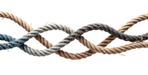 Diversity team unity and teamwork concept as a business metaphor for joining a partnership as diverse ropes connected together as a corporate symbol for cooperation on white background
