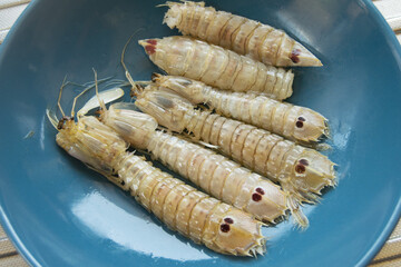 sea ​​cicadas or sea cobs