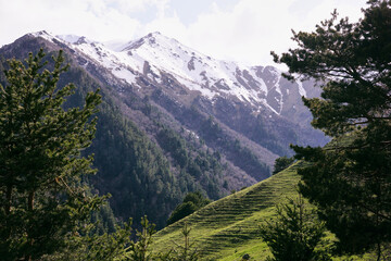 Fototapeta premium view of the snowy mountain peaks and the green valley