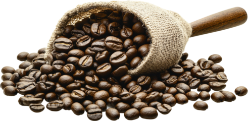 Roasted Coffee Beans in Burlap Bag