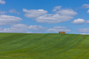 Open landscape. A large field is turning green and there is a stack of straw on the field. The sky is blue with white clouds.