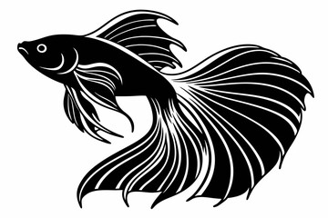 betta sihouette black vector