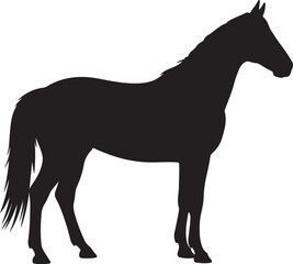 
A Black Horse  Vector Art Silhouette Design