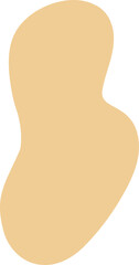 Abstract organic beige shape, concept for background, poster and banner.