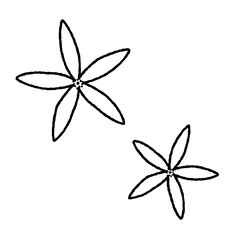 レモンの花の線画イラスト