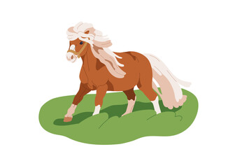 Shetland pony, small horse walking on grass, pasture. Little thoroughbred equine animal breed with lush mane in countryside field, outdoors. Flat vector illustration isolated on white background