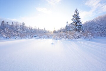 Winter wonderland landscape featuring snow covered trees and bright sunlight illuminating the scene