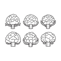 Creative Line Drawing of a Cauliflower Head for Illustrations