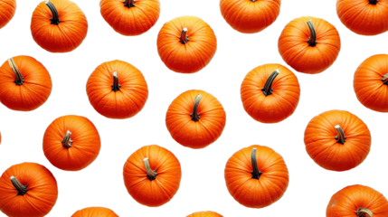 Autumnal Pumpkin Pattern on Black Background