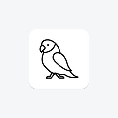 Parakeet, vector, pixel perfect, illustrator file