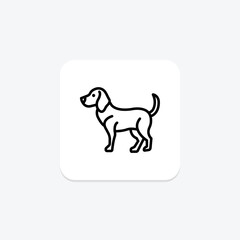 Beagle, vector, pixel perfect, illustrator file